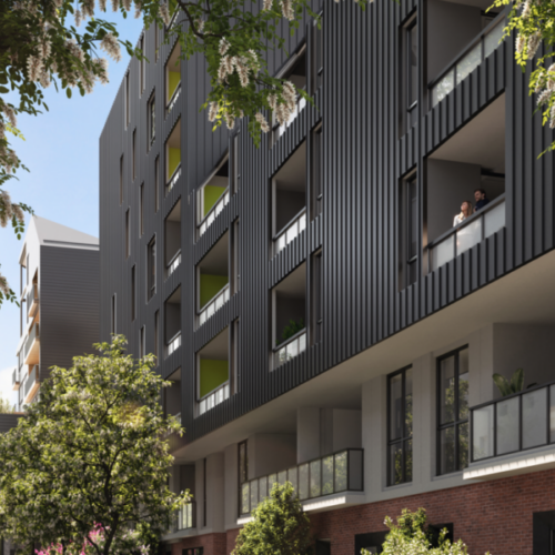 Screenshot-2025-08-19-at-12.55.59 pm-800x600